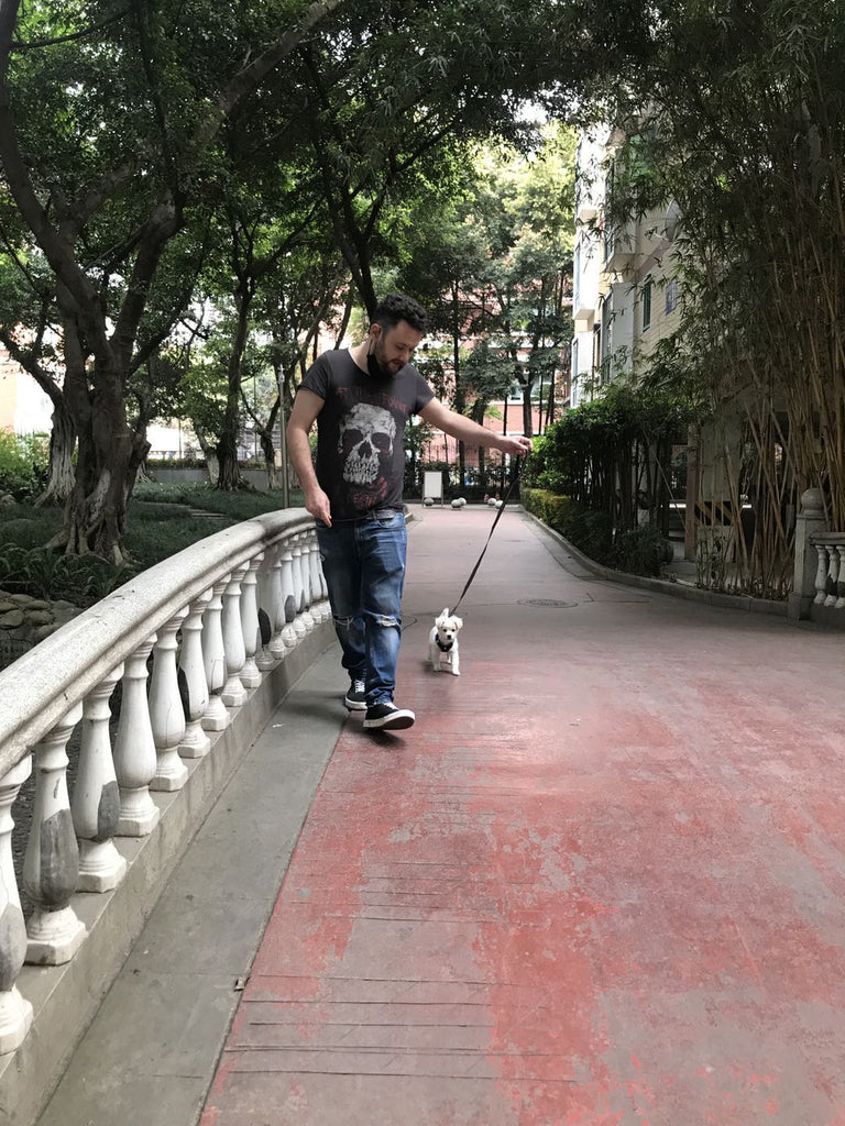 A New Normal – A Chinese City in Recovery Part II