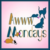 Little Sweethearts (Awww Monday), Inspiring Quote of the Week, and Poetry Monday
