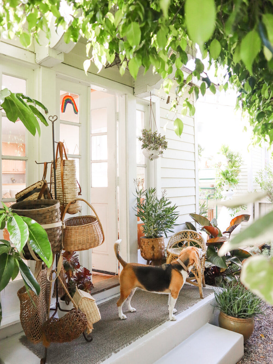Before + After: Styling a Small Stoop for Versatile Daily Use – Best ...