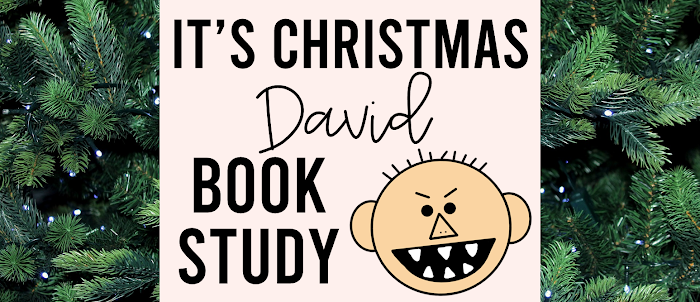 It’s Christmas David | Book Activities