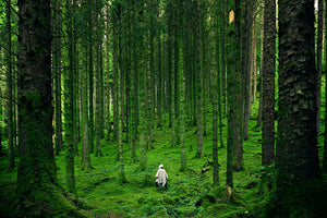 Rude Know-It-All Karen Dares To Trek A Trail Known For Its Bear Sightings, Instant Regret Kicks In