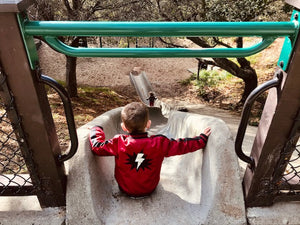 Park Profile: Dorothy Bolte Park in the Berkeley Hills