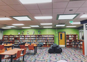 Boogers & Books: Working in a School Library while Managing Grad School