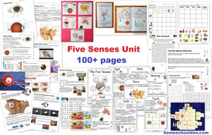Five Senses Unit – Early Elementary