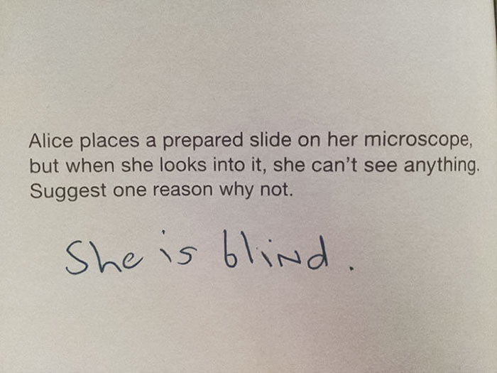 114 Funny Test Answers That Deserve An A+ For Humor (New Pics)